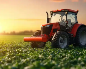 Crédito Rural Cresce e Impulsiona Investimentos no Campo